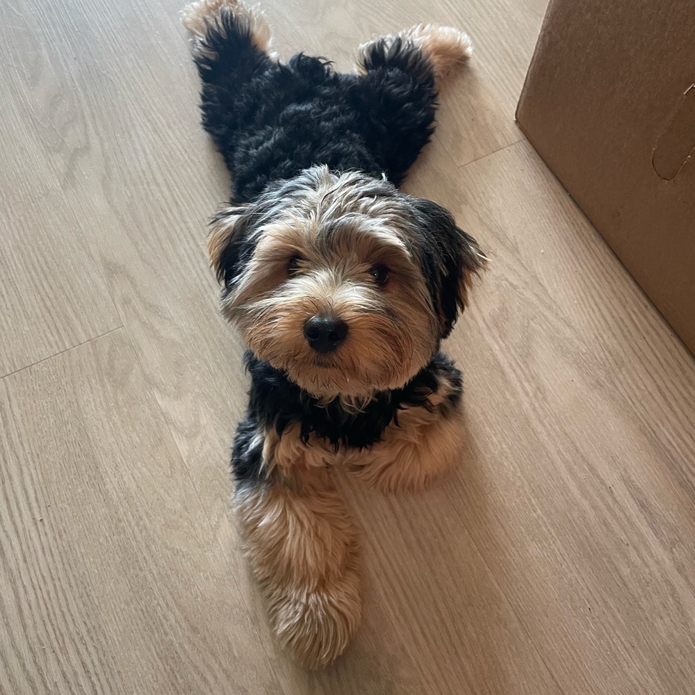 Meet your Posher, Naomi